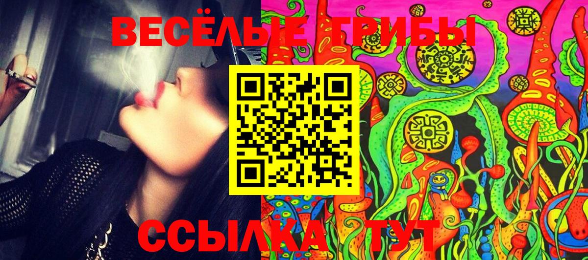 APVP Октябрьский