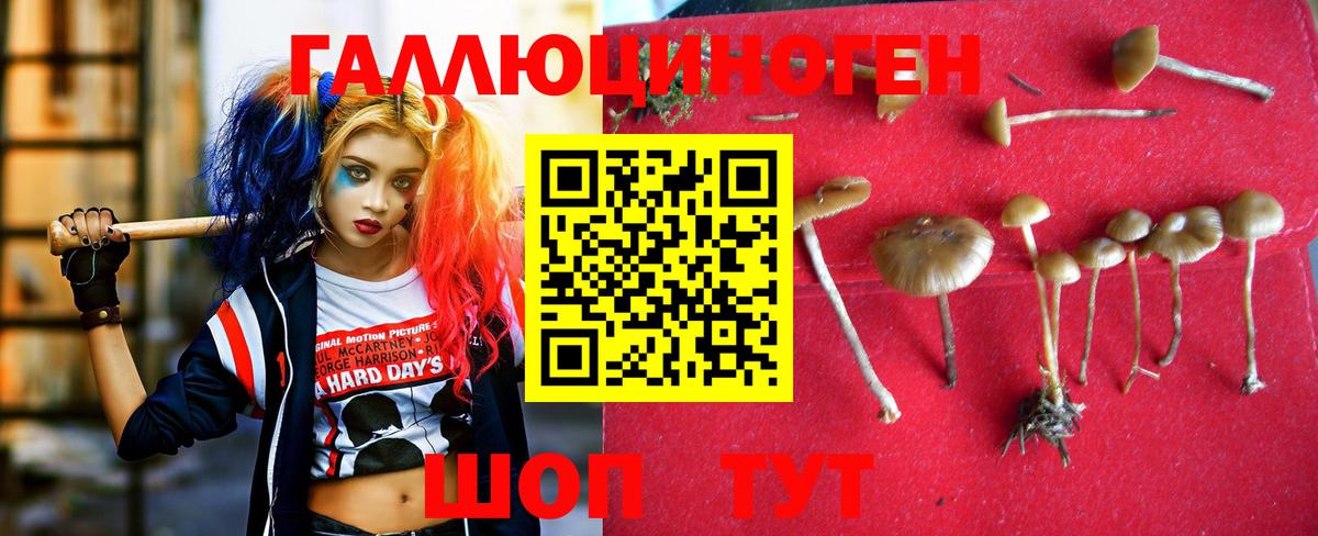 Псилоцибиновые грибы ЛСД Октябрьский